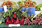 Frisches Gemüse auf dem Markt