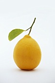 A lemon with leaf