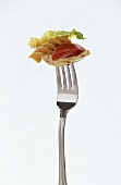 Pasta salad with chicken on fork