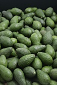 Many avocados