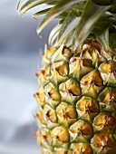 Whole Pineapple; Close Up