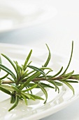 Fresh rosemary on a plate