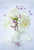 weiße Rosen in Vase
