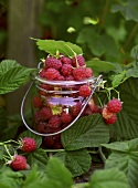 A jar of fresh raspberries