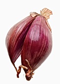 A red shallot
