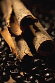 Cinnamon sticks on coffee beans (close-up)