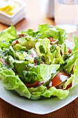 Lettuce with tomatoes and yogurt dressing