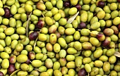 Olives (macro zoom), Perugia, Umbria, Italy