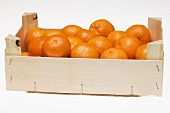 Mandarinen in Steige