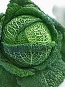 Savoy cabbage