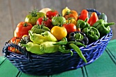 A basket filled with tomatoes and peppers