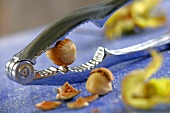 Hazelnuts being cracked