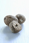Three nutmegs