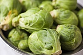 Fresh Brussels Sprouts From Lancaster County, PA, USA; In Bowl Close Up