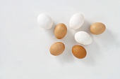 weiße und braune Eier