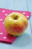 A yellow organic apple (Cultivar: Boiken)