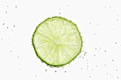A slice of lime in water with air bubbles