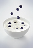 Blueberries falling into a bowl of yogurt