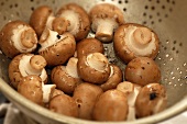 Fresh brown mushrooms in a metal colander