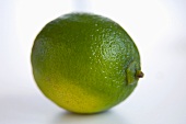 Whole Lime with Water Drops on a Black Background
