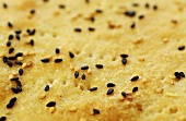 Unleavened bread with sesame (detail)