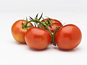 Four Vine Ripe Tomatoes on White