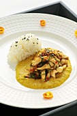 Chicken curry with steamed rice (Asia)