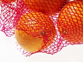 Oranges in a net (close-up)