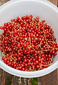 A bowl of redcurrants, seen from above