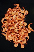 Cooked deep-sea prawns