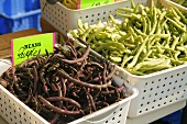 Organic Purple and Green Beans at Farmer's Market