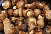 Crimini Mushrooms at a Farmer's Market