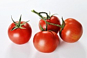 Four Vine Ripe Tomatoes on White