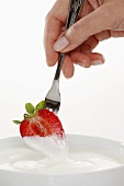Half a strawberry being hand dipped in organic yogurt
