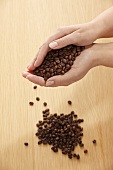 A pair of hands holding coffee beans