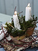 Candles and moss in a flower pot
