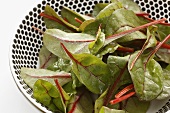Baby chard leaves in a basket