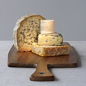 Four varieties of cheese on a wooden board