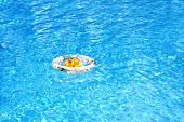 A rubber duck in a rubber ring in a swimming pool