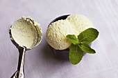 A empty ice cream scoop and two scoops of peppermint ice cream with fresh mint leaves