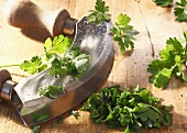 Fresh parsley with a chopping knife