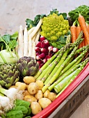 Various fresh vegetables in a box