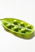Peas in the Pod; White Background
