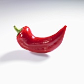 A pointed red pepper