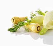 Parsnips and fennel