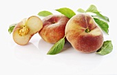 Vineyard peach with leaves