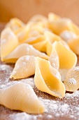 Pasta shells and flour on a wooden board