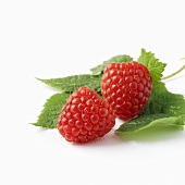 Two raspberries with leaves