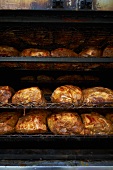 Barbecue Pork Shoulders on Racks in Smoker