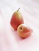 Two Forelle pears